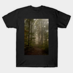 Enchanted Forest T-Shirt